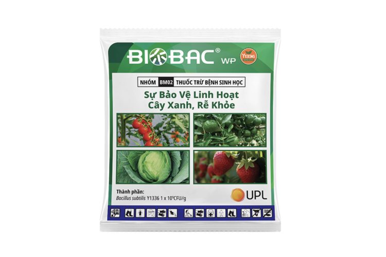 Thuốc trừ bệnh sinh học BIOBAC WP 