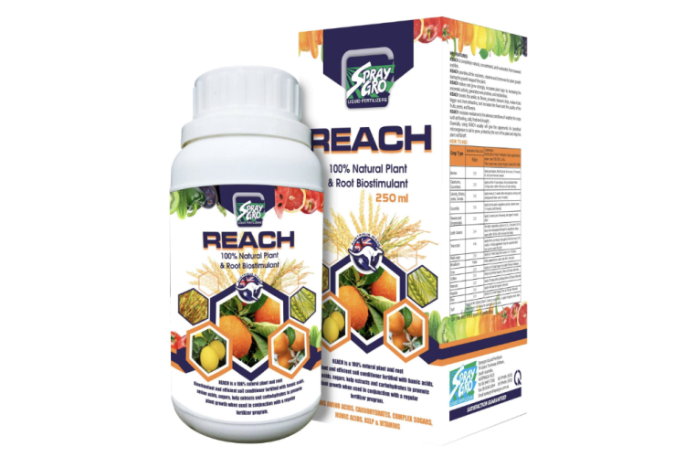 PHÂN BÓN LÁ REACH 250ML 