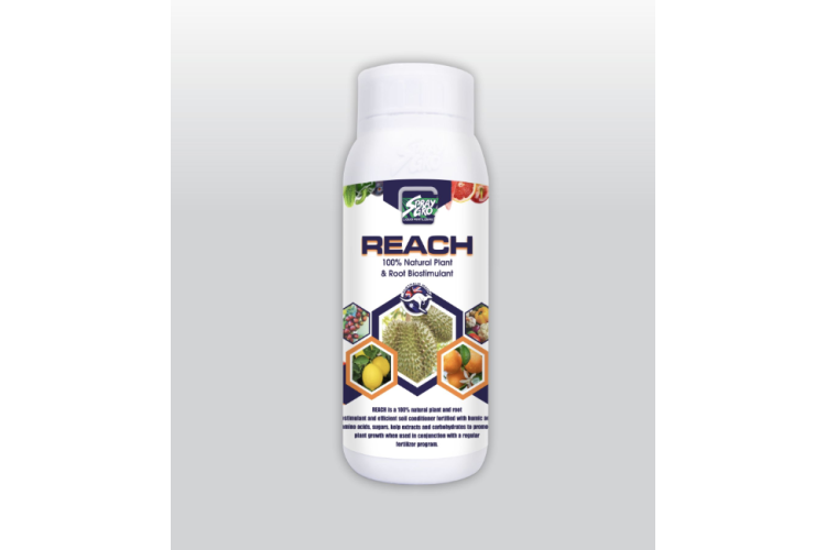 PHÂN BÓN LÁ REACH 500ML