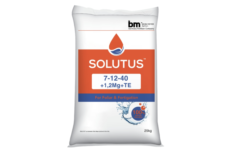 Phân bón lá NPK trung vi lượng SOLUTUS 7-12-40+1,2Mg+TE