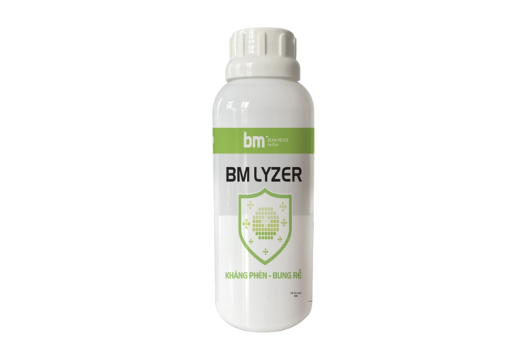 Phân bón hữu cơ BM LYZER