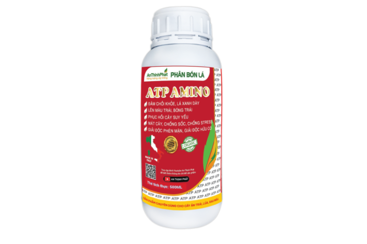 ATP AMINO  ATP AMINO  ATP AMINO   ATP AMINO