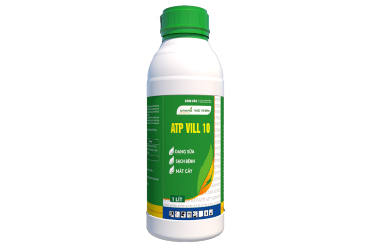 ATP VILL 10