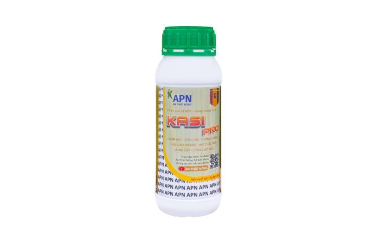 CASI PRO APN