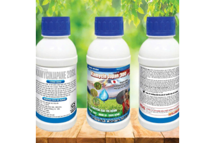 KAMYCIN JAPAN 300 KAMYCINJAPANE 20SL 450ML HÓA CHẤT NÔNG NGHIỆP HDA