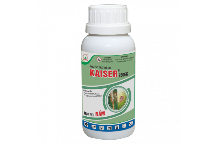KAISER 250EC