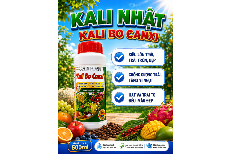 Phân bón KALI NHẬT - Kali Bo Canxi (NCP)