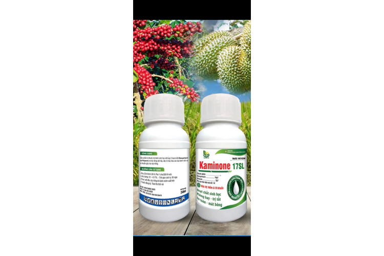THUỐC TRỪ BỆNH KAMINONE 17SL