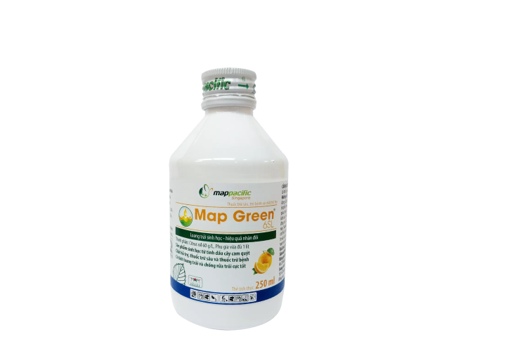 MAP GREEN