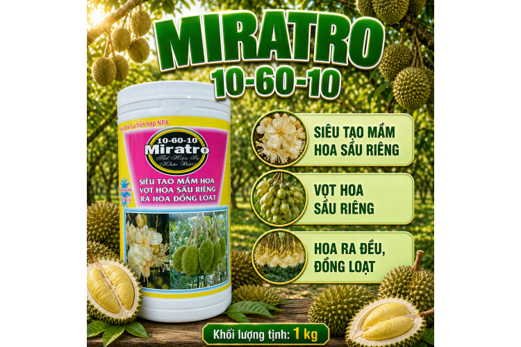 MIRATRO 10-60-10 Tạo mầm Sầu riêng 1kg (NGN)