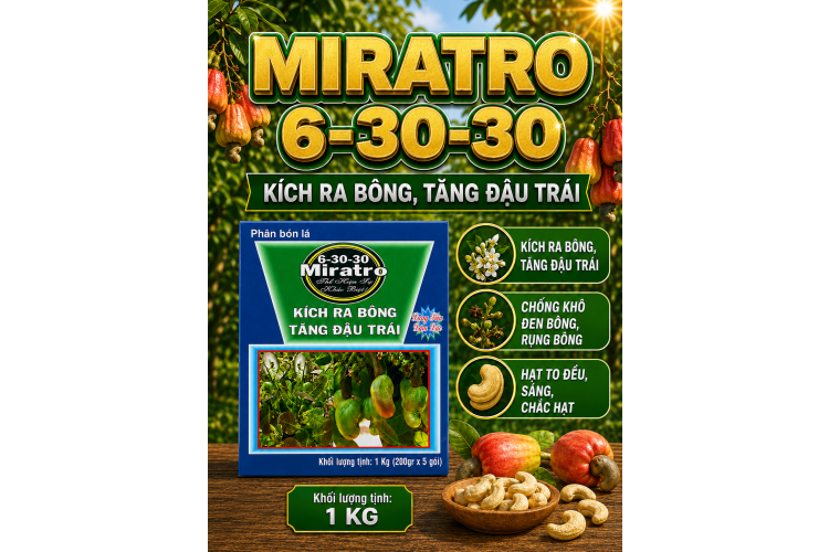 Phân bón MIRATRO 6-30-30 dành cho cây Điều 1kg (NGN)