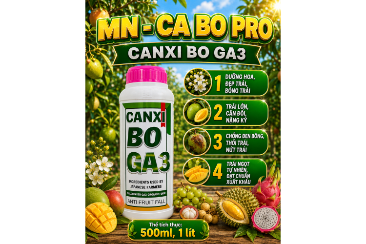 MN-CA BO PRO CANXI BO GA3 (NGN)