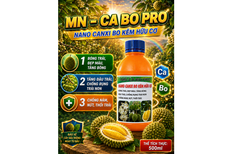 MN-CA BO PRO Nano Canxi Bo Kẽm hữu cơ (NGN)