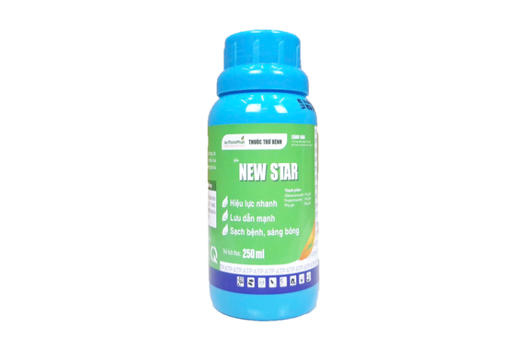 New Star