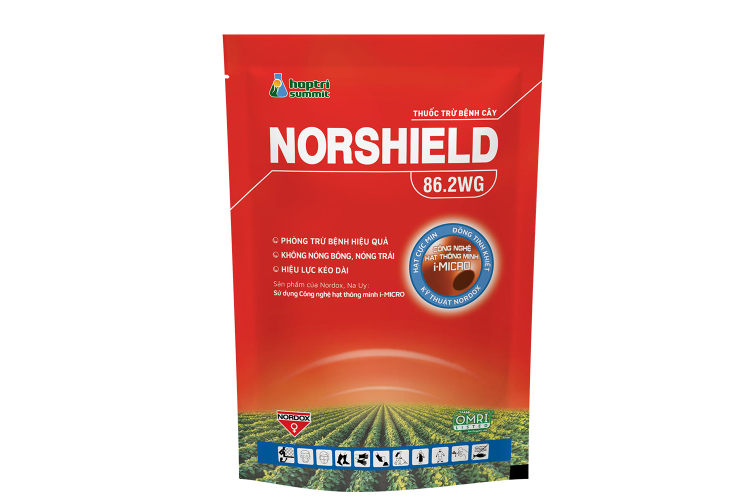 NORSHIELD HỢP TRÍ