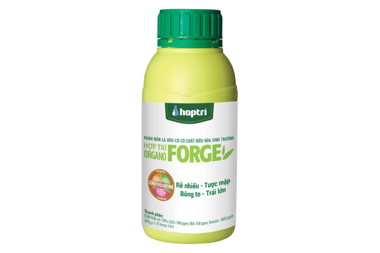 ORGANO FORGE HỢP TRÍ