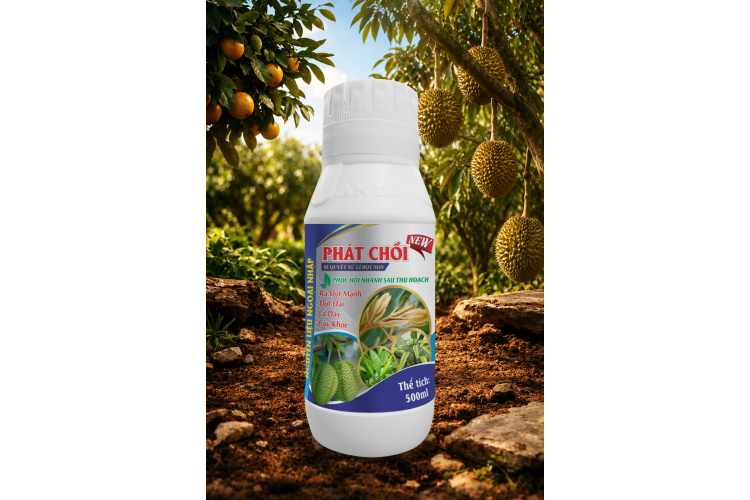 PHÁT CHỒI 500ML AN DÂN