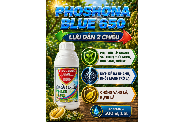 PHOSPHONA BLUE 650 (NGN)