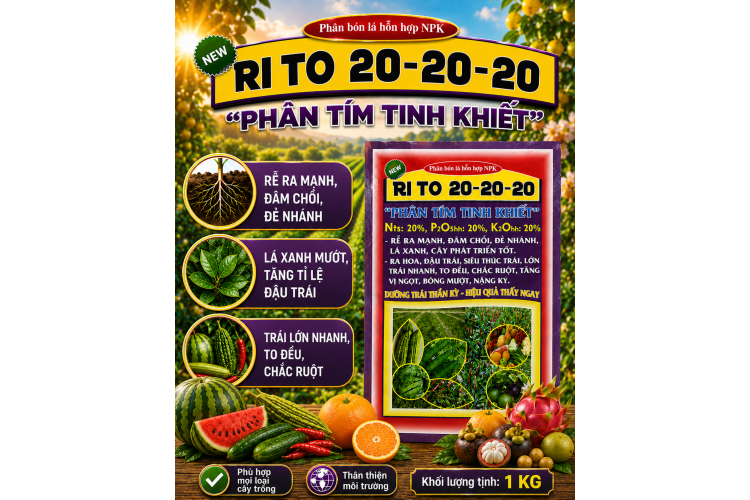 Phân bón lá NPK RI TO 20-20-20 PHÂN TÍM TINH KHIẾT