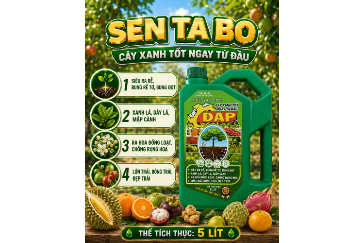 Phân bón SEN TA BO DAP (NGN)