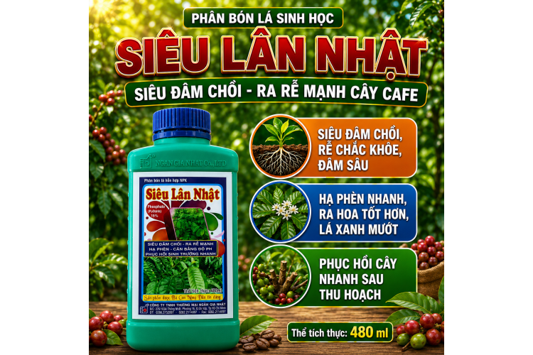 Phân bón lá Siêu Lân nhật Ra rễ mạnh cây Cà phê (NGN)