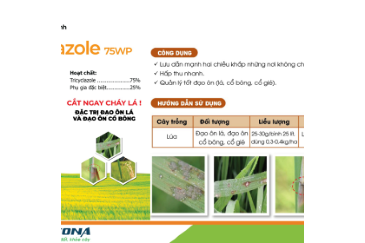 BELAZOLE 75WP KONA 