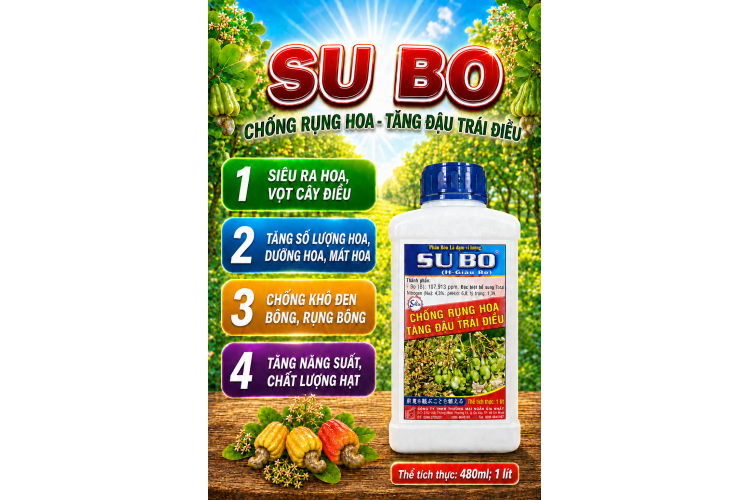 Phân bón SU BO cho cây ĐIỀU (NGN)