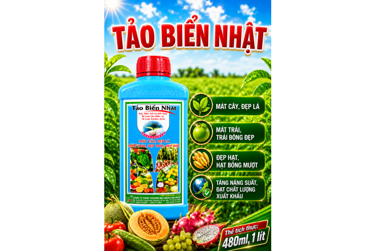 TẢO BIỂN NHẬT CHO CÂY ĂN TRÁI (NGN)