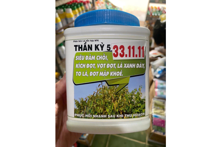 THẦN KỲ 5 