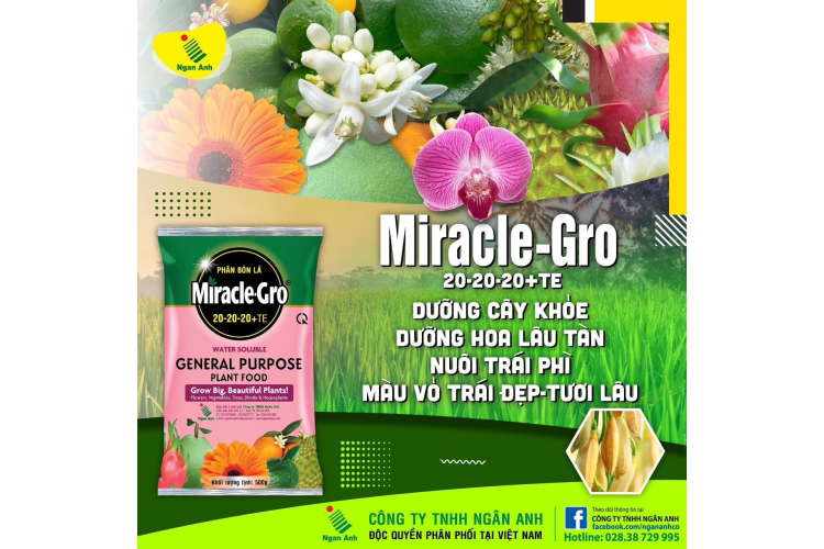 MIRACLE - GRO 20-20-20+TE