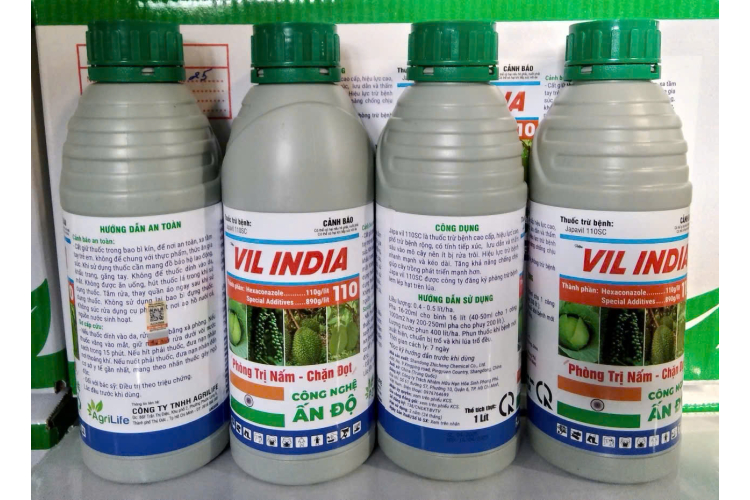 VIL INDIA