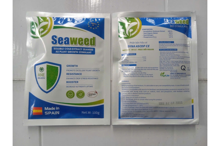 SEAWEED DẠNG GÓI