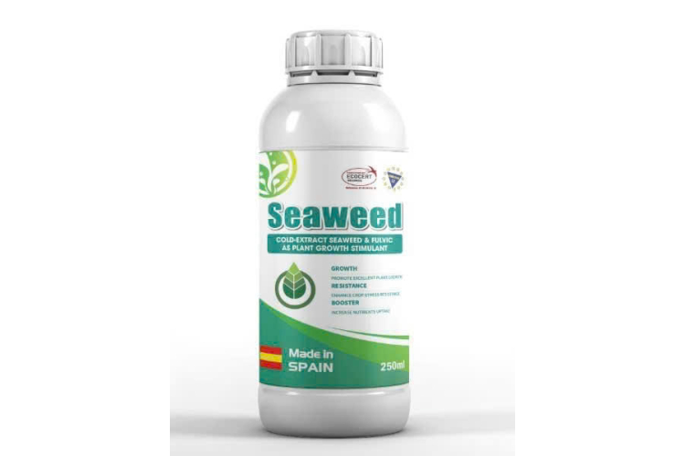 SEAWEED DẠNG NƯỚC