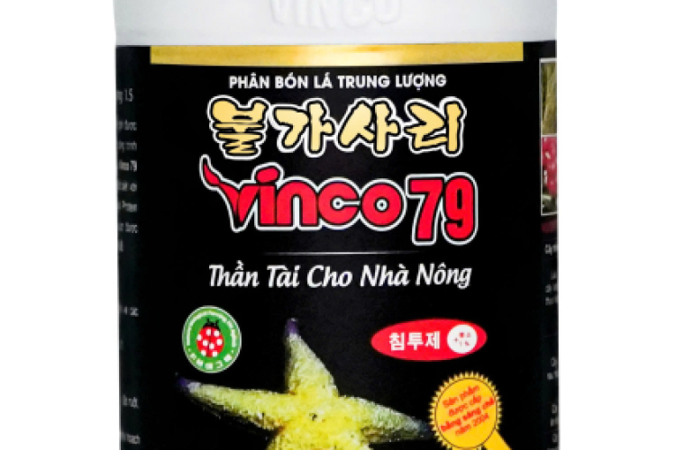 VINCO 79